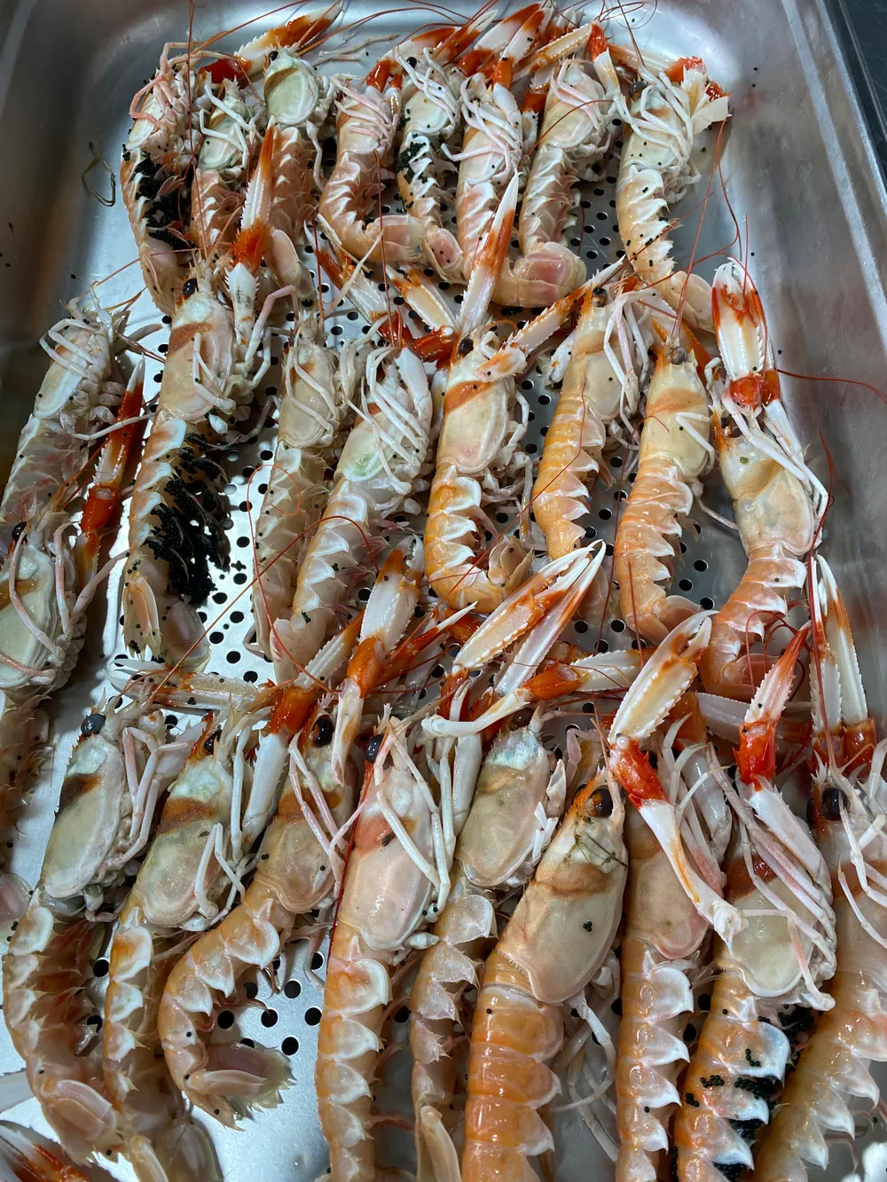 Plateau de langoustines fraîches alignées, prêtes à être cuisinées